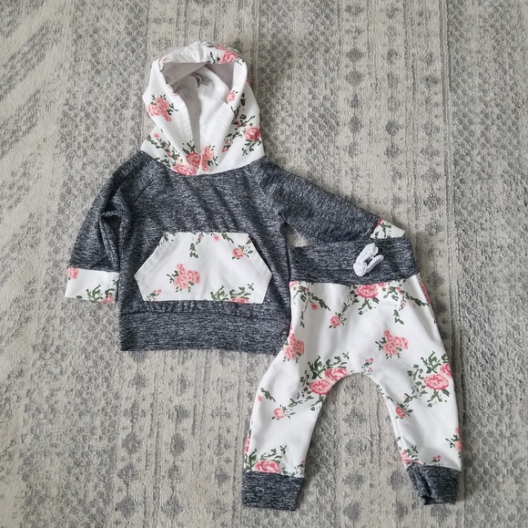 Other - Baby girl 9-12 month hoodie set